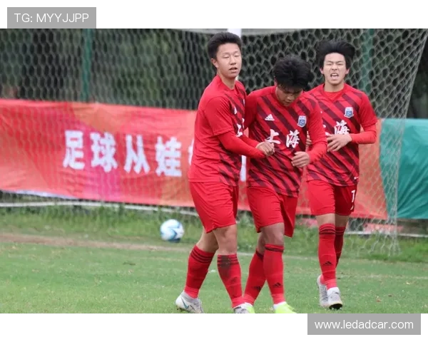 南京排球队与成都排球队赛后分析力量对比与战术总结